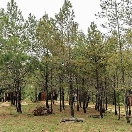 Chales Naturale - Campos Do Jordao - Cna Kültér fotó